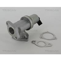 AGR-Ventil | TRISCAN (8813 43002)