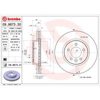 Bremsscheibe 'COATED DISC LINE' | BREMBO (09.8873.31)