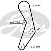 GATES Zahnriemen 5503XS Steuerriemen OPEL,FIAT,ALFA ROMEO,COMBO Kasten/Kombi X12,COMBO Tour X12,GRANDE PUNTO 199,PUNTO 188,PANDA 169,500 312,STILO 192