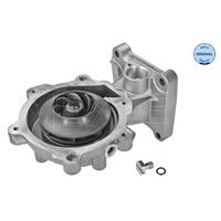 ford Waterpomp 7132200019