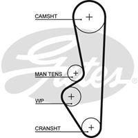 Zahnriemen Gates 5094XS