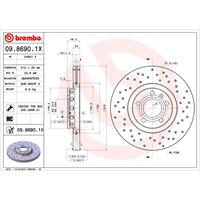 Bremsscheibe 'BREMBO XTRA LINE' | BREMBO (09.8690.1X)