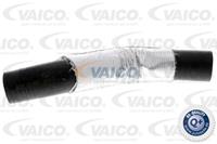 VAICO Ladeluftschlauch V25-0950  FORD,VOLVO,FOCUS C-MAX,C-MAX DM2,V50 MW,C30,S40 II MS,S80 II AS