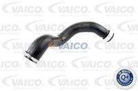 VAICO Ladeluftschlauch V10-2879  AUDI,A6 Avant 4F5, C6,A6 4F2, C6