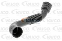 Ölschlauch 'Original VAICO Qualität' | VAICO (V10-4635)