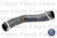 Laadluchtslang Q+, original equipment manufacturer quality VAICO, u.a. für Ford