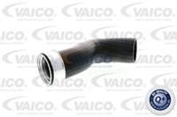 VAICO Ladeluftschlauch V10-2833  VW,TRANSPORTER V Bus 7HB, 7HJ, 7EB, 7EJ, 7EF,MULTIVAN V 7HM, 7HN, 7HF, 7EF, 7EM, 7EN