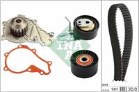 INA Wasserpumpe + Zahnriemensatz 530 0698 30 Wasserpumpe + Zahnriemenkit OPEL,FORD,PEUGEOT,CROSSLAND X,GRANDLAND X A18,FIESTA VI,FOCUS III Turnier