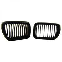 bmw Radiateurgrille 1213640