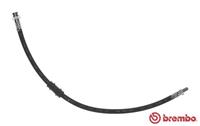 Bremsschlauch | BREMBO (T 23 199)