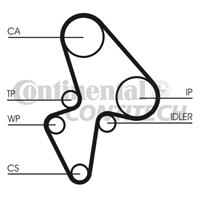 CONTITECH Zahnriemen CT906 Steuerriemen PEUGEOT,CITROËN,NISSAN,106 II 1,106 I 1A, 1C,106 Van 1_,SAXO S0, S1,XSARA N1,XSARA Break N2,AX ZA-_