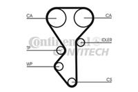 CONTITECH Zahnriemen CT955 Steuerriemen FIAT,PEUGEOT,CITROËN,ULYSSE 220,306 Schrägheck 7A, 7C, N3, N5,306 Cabriolet 7D, N3, N5,406 Break 8E/F