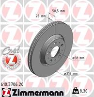 volvo Remschijf Coat Z 610370620