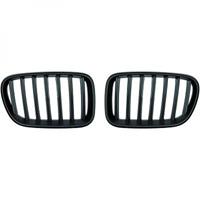 bmw Radiateurgrille 1276340