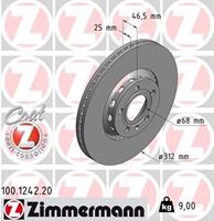 Audi Remschijf Coat Z