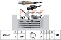 audi Lambda Sonde