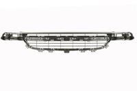 bmw Ventilatiegrille, bumper