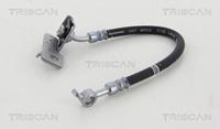 Bremsschlauch Hinterachse links Triscan 8150 43225