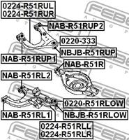 Lagerung, Lenker Hinterachse unten hinten Febest NAB-R51RL2