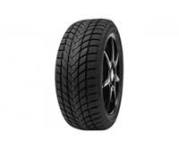 Delinte Winter WD6 245/45R18 100V