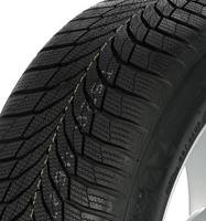 Nexen Winguard Sport 2 SUV (225/60 R17 103H)