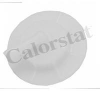 Calorstat by vernet Radiateurdop RC0176