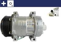 Mahle Air Compressor Iveco ACP392000S