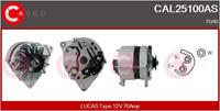 Casco Generator  CAL25100AS