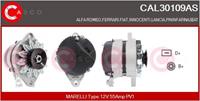 Casco Generator  CAL30109AS