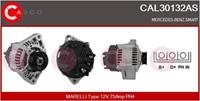 Casco Generator  CAL30132AS