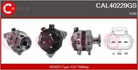 Casco Generator  CAL40229GS