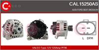 Casco Generator  CAL15250AS