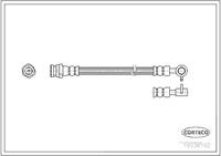 Corteco Bremsschlauch Hinterachse links  19036192