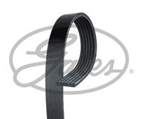 Poly V-riem Micro-V GATES, u.a. für BMW, Hyundai, KIA