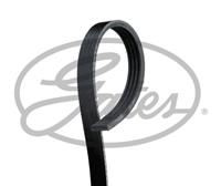 Poly V-riem Micro-V GATES, u.a. für Ford