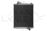 NRF Intercooler, inlaatluchtkoeler 30391