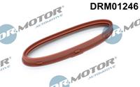 Dr.Motor Automotive Dichtring, Lader  DRM01246