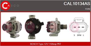 Generator Casco CAL10134AS