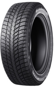 Winrun Ice Rooter WR66 ( 185/65 R15 88H, )