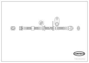 Corteco Bremsschlauch Vorderachse  19036992