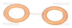 Triscan Bremsschlauch Vorderachse rechts  8150 24157