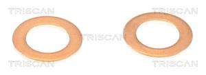 Triscan Bremsschlauch Vorderachse rechts  8150 431016