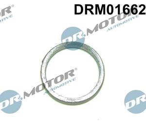 dr.motorautomotive Dichtung, Lader Dr.Motor Automotive DRM01662