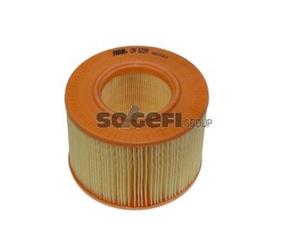 Fram Luftfilter  CA5229