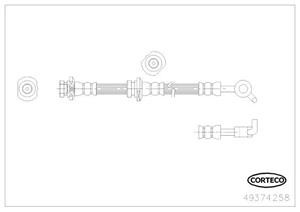 Corteco Bremsschlauch Hinterachse rechts  49374258