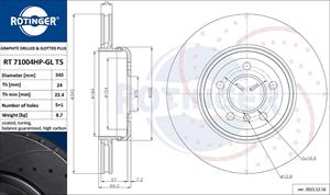 ROTINGER Bremsscheibe Hinterachse  RT 71004HP-GL T5