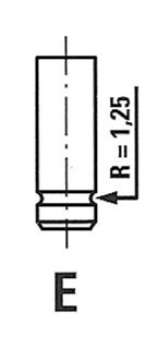 Auslassventil freccia R7060/RARNT