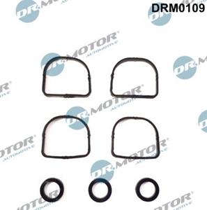 dr.motorautomotive Dichtungssatz, Ansaugkrümmer Dr.Motor Automotive DRM0109