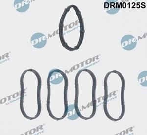 dr.motorautomotive Dichtungssatz, Ansaugkrümmer Dr.Motor Automotive DRM0125S