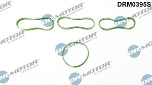 dr.motorautomotive Dichtungssatz, Ansaugkrümmer Dr.Motor Automotive DRM0395S